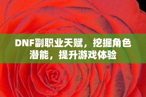 DNF副职业天赋,挖掘角色潜能,提升游戏体验 DNF副职业天赋,挖掘角色潜能,提升游戏体验