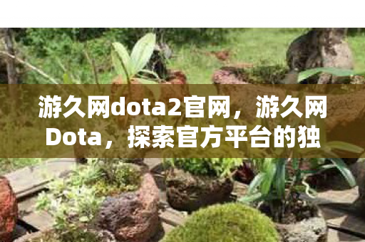 游久网dota2官网,游久网Dota,探索官方平台的独特魅力与玩家社区的热度 游久网dota2官网,游久网Dota,探索官方平台的独特魅力与玩家社区的热度
