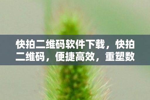 快拍二维码软件下载,快拍二维码,便捷高效,重塑数字时代信息分享新体验 快拍二维码软件下载,快拍二维码,便捷高效,重塑数字时代信息分享新体验