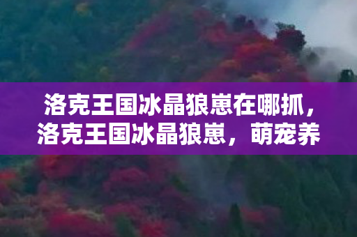 洛克王国冰晶狼崽在哪抓，洛克王国冰晶狼崽，萌宠养成与策略战斗的双重体验