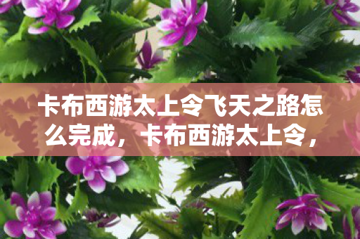 卡布西游太上令飞天之路怎么完成，卡布西游太上令，探索未知世界的奇妙之旅