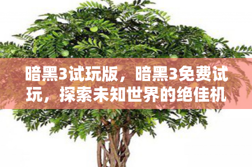 暗黑3试玩版，暗黑3免费试玩，探索未知世界的绝佳机会