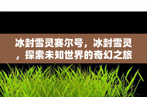 冰封雪灵赛尔号,冰封雪灵,探索未知世界的奇幻之旅 冰封雪灵赛尔号,冰封雪灵,探索未知世界的奇幻之旅