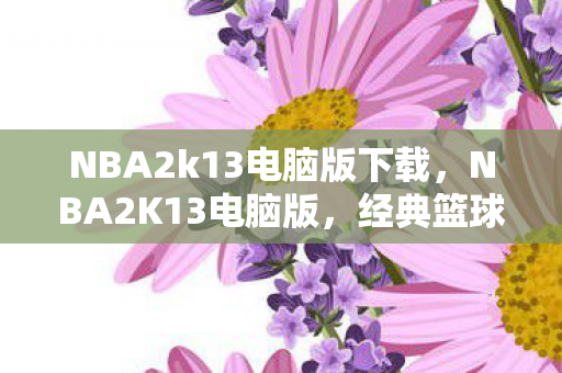 NBA2k13电脑版下载，NBA2K13电脑版，经典篮球游戏的数字记忆