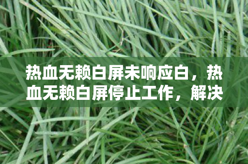 热血无赖白屏未响应白，热血无赖白屏停止工作，解决方案与游戏优化指南