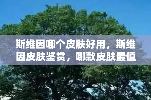 斯维因哪个皮肤好用,斯维因皮肤鉴赏,哪款皮肤最值得拥有? 斯维因哪个皮肤好用,斯维因皮肤鉴赏,哪款皮肤最值得拥有?