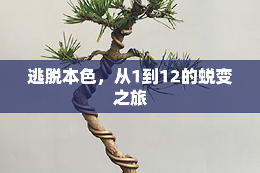 逃脱本色,从1到12的蜕变之旅 逃脱本色,从1到12的蜕变之旅