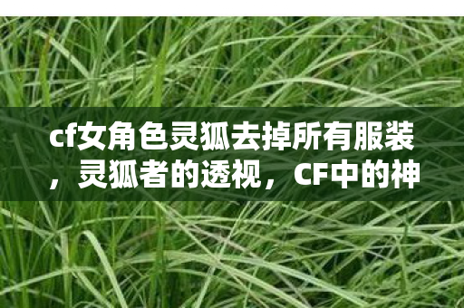 cf女角色灵狐去掉所有服装,灵狐者的透视,CF中的神秘女战士 cf女角色灵狐去掉所有服装,灵狐者的透视,CF中的神秘女战士