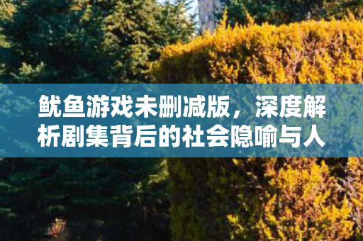 鱿鱼游戏未删减版,深度解析剧集背后的社会隐喻与人性探索 鱿鱼游戏未删减版,深度解析剧集背后的社会隐喻与人性探索
