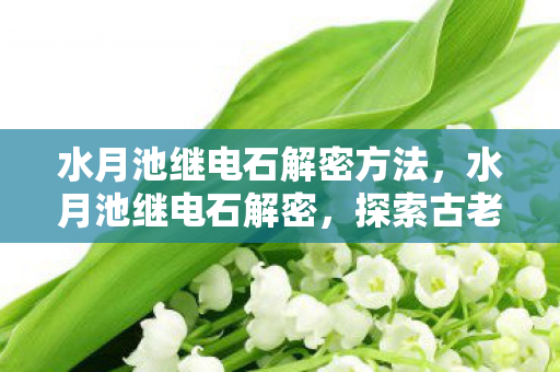 水月池继电石解密方法,水月池继电石解密,探索古老遗迹的电力奥秘 水月池继电石解密方法,水月池继电石解密,探索古老遗迹的电力奥秘