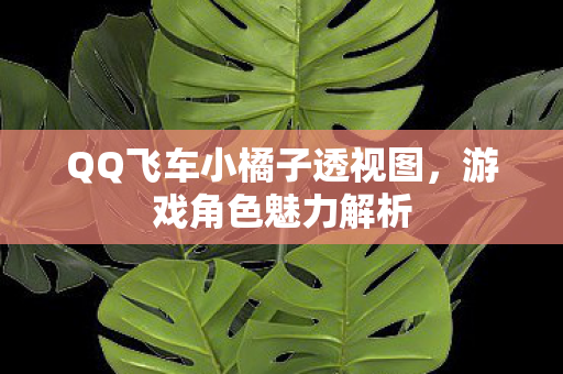 QQ飞车小橘子透视图,游戏角色魅力解析 QQ飞车小橘子透视图,游戏角色魅力解析