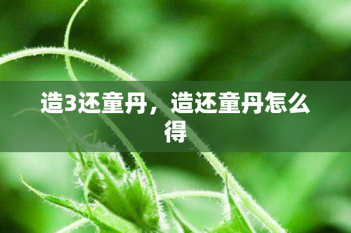 造3还童丹,造还童丹怎么得 造3还童丹,造还童丹怎么得
