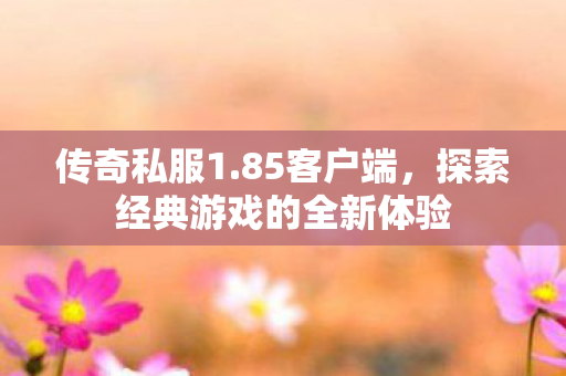 传奇私服1.85客户端,探索经典游戏的全新体验 传奇私服1.85客户端,探索经典游戏的全新体验