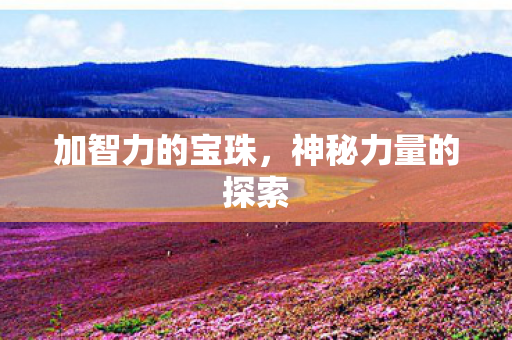 加智力的宝珠，神秘力量的探索