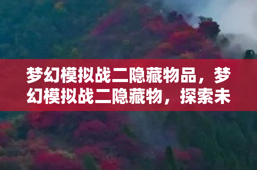 梦幻模拟战二隐藏物品,梦幻模拟战二隐藏物,探索未知的游戏宝藏 梦幻模拟战二隐藏物品,梦幻模拟战二隐藏物,探索未知的游戏宝藏