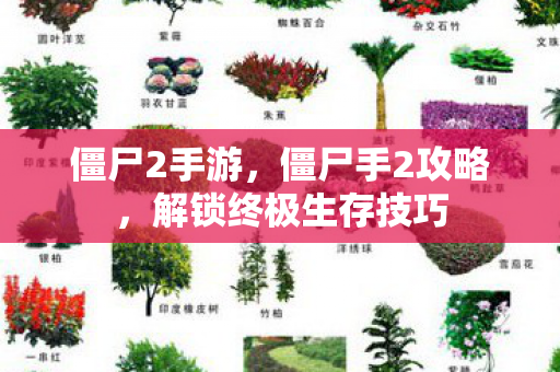 僵尸2手游,僵尸手2攻略,解锁终极生存技巧 僵尸2手游,僵尸手2攻略,解锁终极生存技巧