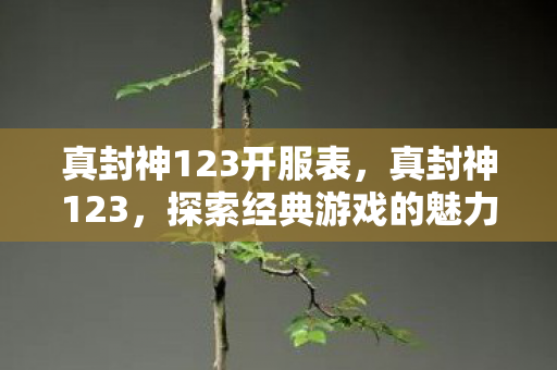 真封神123开服表,真封神123,探索经典游戏的魅力与传承 真封神123开服表,真封神123,探索经典游戏的魅力与传承