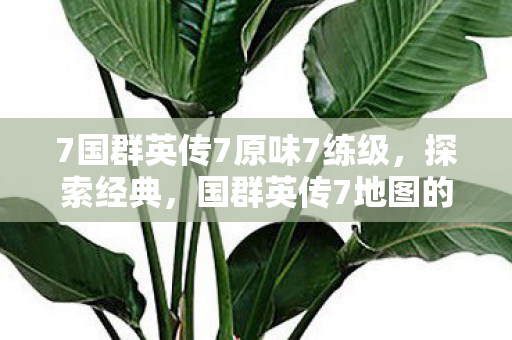 7国群英传7原味7练级,探索经典,国群英传7地图的奇幻之旅 7国群英传7原味7练级,探索经典,国群英传7地图的奇幻之旅
