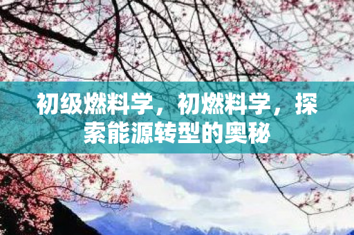 初级燃料学，初燃料学，探索能源转型的奥秘