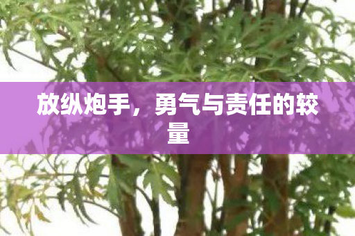 放纵炮手,勇气与责任的较量 放纵炮手,勇气与责任的较量