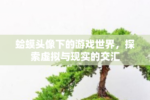 蛤蟆头像下的游戏世界,探索虚拟与现实的交汇 蛤蟆头像下的游戏世界,探索虚拟与现实的交汇