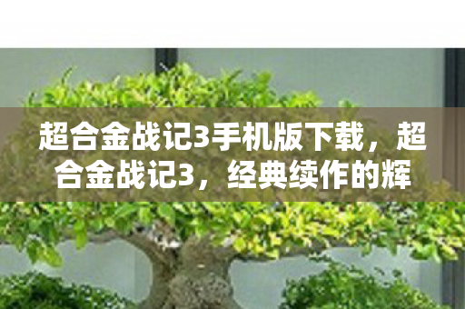 超合金战记3手机版下载，超合金战记3，经典续作的辉煌与未来展望
