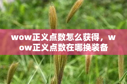 wow正义点数怎么获得,wow正义点数在哪换装备 wow正义点数怎么获得,wow正义点数在哪换装备