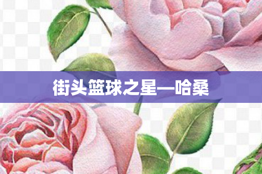 街头篮球之星—哈桑 街头篮球之星—哈桑