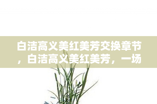 白洁高义美红美芳交换章节,白洁高义美红美芳,一场关于时尚与文化的深度交流 白洁高义美红美芳交换章节,白洁高义美红美芳,一场关于时尚与文化的深度交流