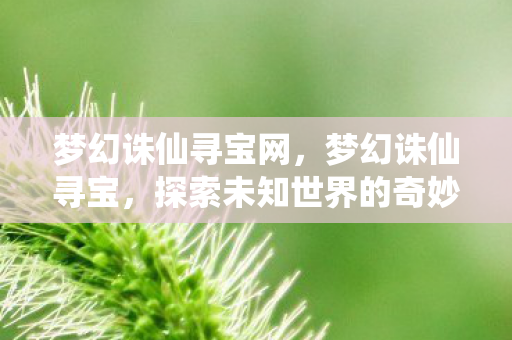 梦幻诛仙寻宝网,梦幻诛仙寻宝,探索未知世界的奇妙之旅 梦幻诛仙寻宝网,梦幻诛仙寻宝,探索未知世界的奇妙之旅