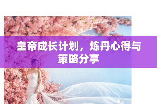 皇帝成长计划，炼丹心得与策略分享