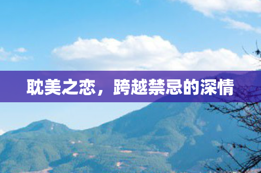 耽美之恋,跨越禁忌的深情 耽美之恋,跨越禁忌的深情