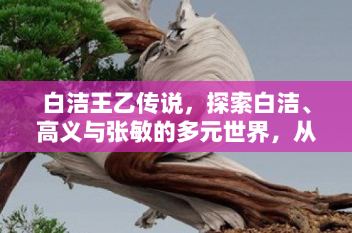 白洁王乙传说,探索白洁、高义与张敏的多元世界,从个人成长到社会影响 白洁王乙传说,探索白洁、高义与张敏的多元世界,从个人成长到社会影响