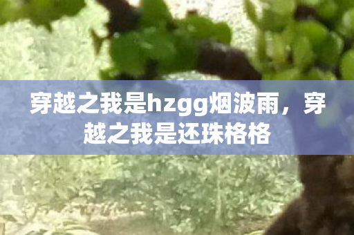 穿越之我是hzgg烟波雨，穿越之我是还珠格格