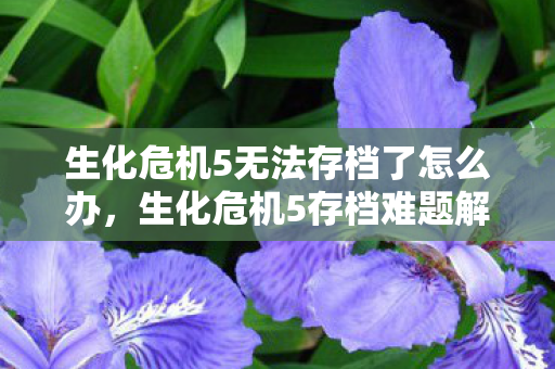 生化危机5无法存档了怎么办,生化危机5存档难题解析 生化危机5无法存档了怎么办,生化危机5存档难题解析