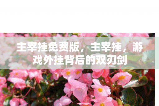 主宰挂免费版,主宰挂,游戏外挂背后的双刃剑 主宰挂免费版,主宰挂,游戏外挂背后的双刃剑