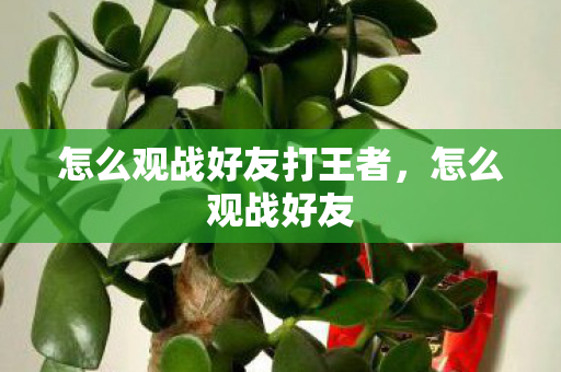 怎么观战好友打王者,怎么观战好友 怎么观战好友打王者,怎么观战好友