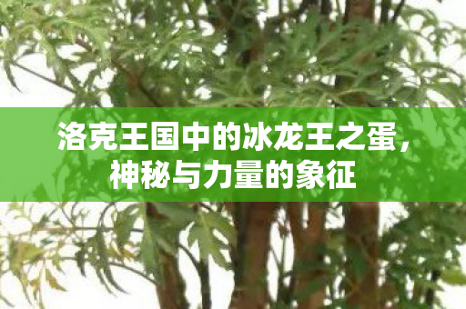 洛克王国中的冰龙王之蛋,神秘与力量的象征 洛克王国中的冰龙王之蛋,神秘与力量的象征
