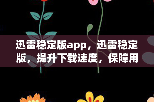 迅雷稳定版app,迅雷稳定版,提升下载速度,保障用户体验 迅雷稳定版app,迅雷稳定版,提升下载速度,保障用户体验