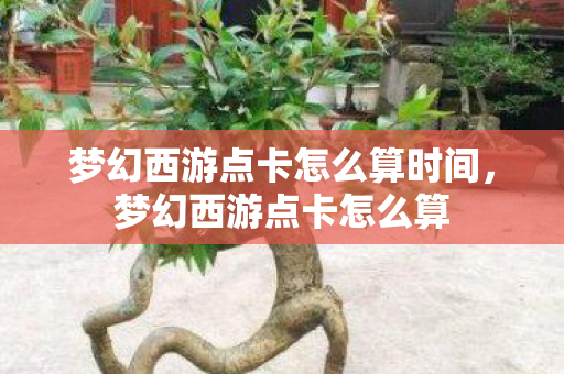 梦幻西游点卡怎么算时间,梦幻西游点卡怎么算 梦幻西游点卡怎么算时间,梦幻西游点卡怎么算