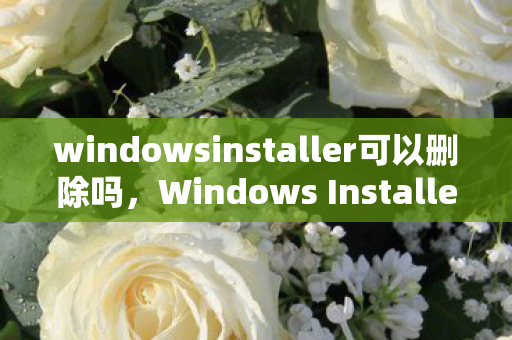windowsinstaller可以删除吗,Windows Installer,深度解析其工作原理与常见问题 windowsinstaller可以删除吗,Windows Installer,深度解析其工作原理与常见问题