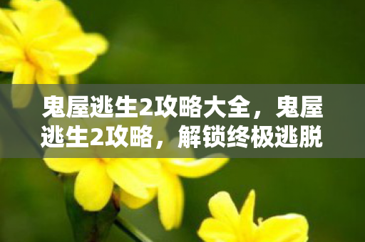 鬼屋逃生2攻略大全,鬼屋逃生2攻略,解锁终极逃脱技巧 鬼屋逃生2攻略大全,鬼屋逃生2攻略,解锁终极逃脱技巧