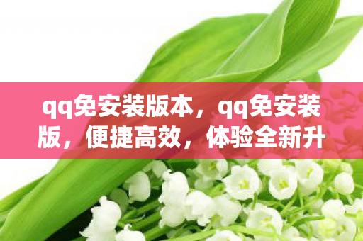 qq免安装版本,qq免安装版,便捷高效,体验全新升级 qq免安装版本,qq免安装版,便捷高效,体验全新升级