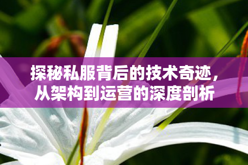 探秘私服背后的技术奇迹,从架构到运营的深度剖析 探秘私服背后的技术奇迹,从架构到运营的深度剖析