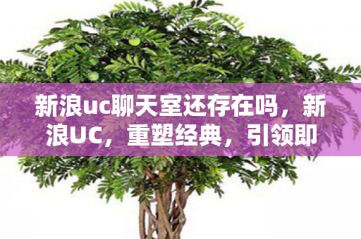 新浪uc聊天室还存在吗,新浪UC,重塑经典,引领即时通讯新时代 新浪uc聊天室还存在吗,新浪UC,重塑经典,引领即时通讯新时代