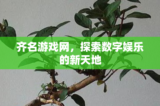 齐名游戏网,探索数字娱乐的新天地 齐名游戏网,探索数字娱乐的新天地