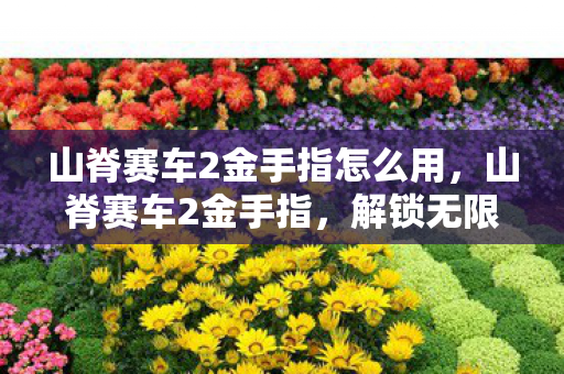 山脊赛车2金手指怎么用,山脊赛车2金手指,解锁无限可能的赛车体验 山脊赛车2金手指怎么用,山脊赛车2金手指,解锁无限可能的赛车体验