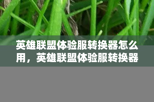 英雄联盟体验服转换器怎么用,英雄联盟体验服转换器,解锁全新游戏体验 英雄联盟体验服转换器怎么用,英雄联盟体验服转换器,解锁全新游戏体验