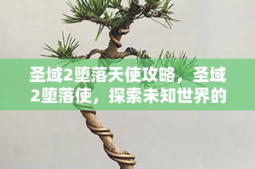圣域2堕落天使攻略,圣域2堕落使,探索未知世界的奇幻冒险 圣域2堕落天使攻略,圣域2堕落使,探索未知世界的奇幻冒险