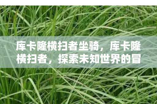 库卡隆横扫者坐骑,库卡隆横扫者,探索未知世界的冒险之旅 库卡隆横扫者坐骑,库卡隆横扫者,探索未知世界的冒险之旅